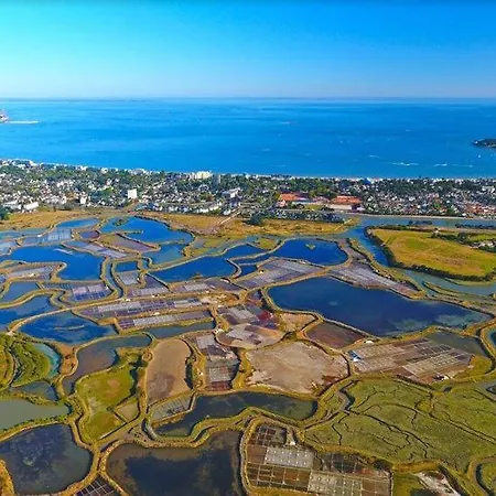 Apartment Avec Grande Terrasse Dans Un Magnifique Parc A 5 Minutes De La La Baule-Escoublac