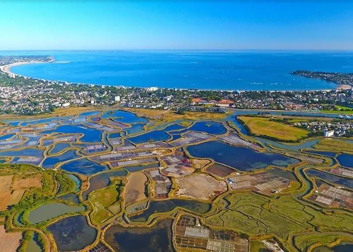Apartment Avec Grande Terrasse Dans Un Magnifique Parc A 5 Minutes De La La Baule-Escoublac
